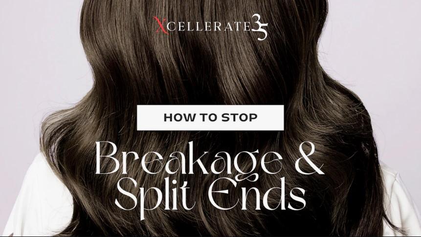 HAIR XCELLERATION PROGRAM